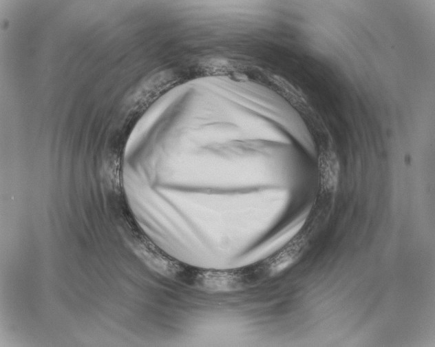 X0000062870766200602031716