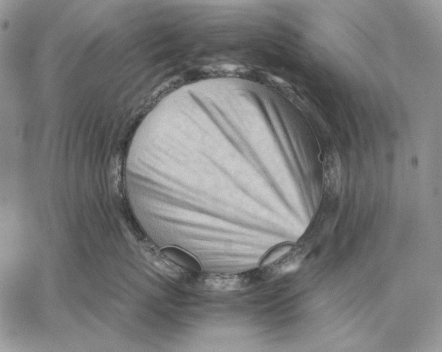 X0000062870767200602031717