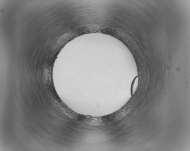 X0000062870768200602031717