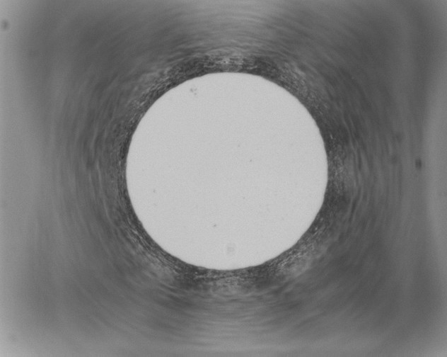 X0000062870769200602031716