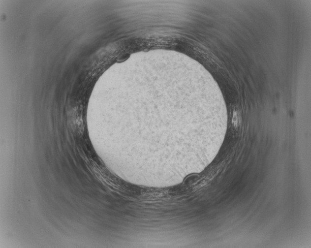 X0000062870771200602031716