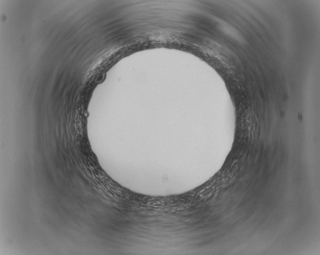 X0000062870776200602031716