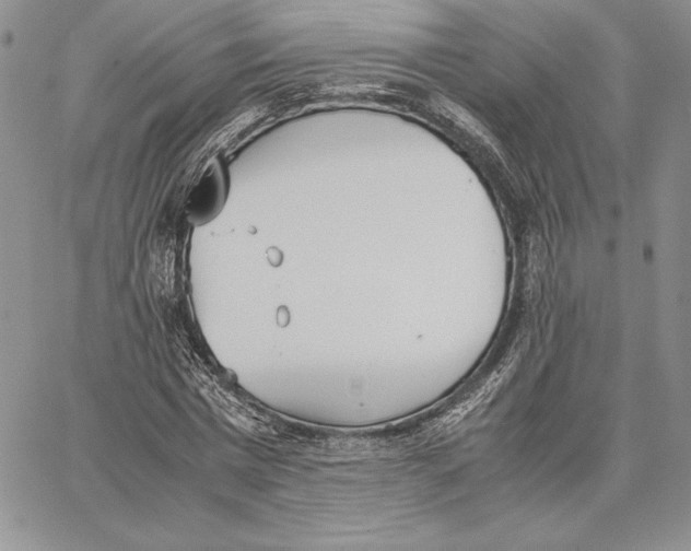 X0000062870777200602031716