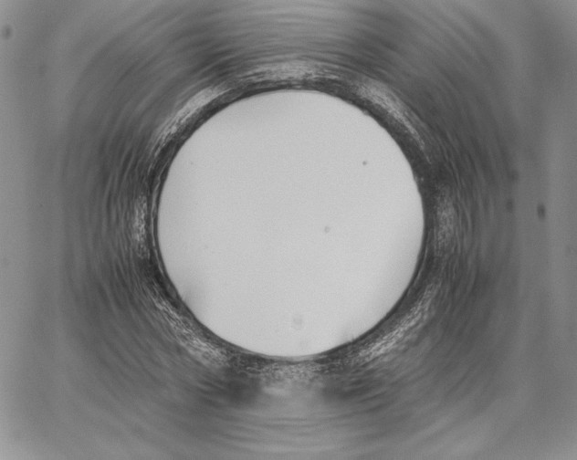 X0000062870778200602031716