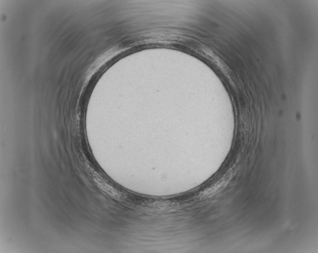 X0000062870779200602031716