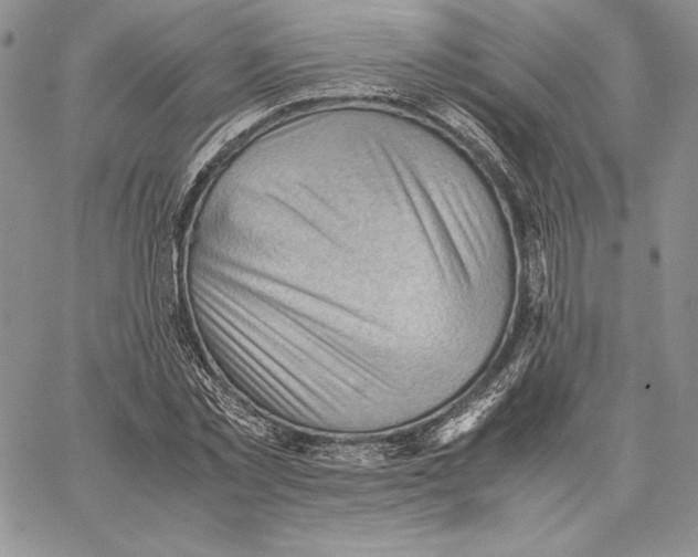 X0000062870781200602031716