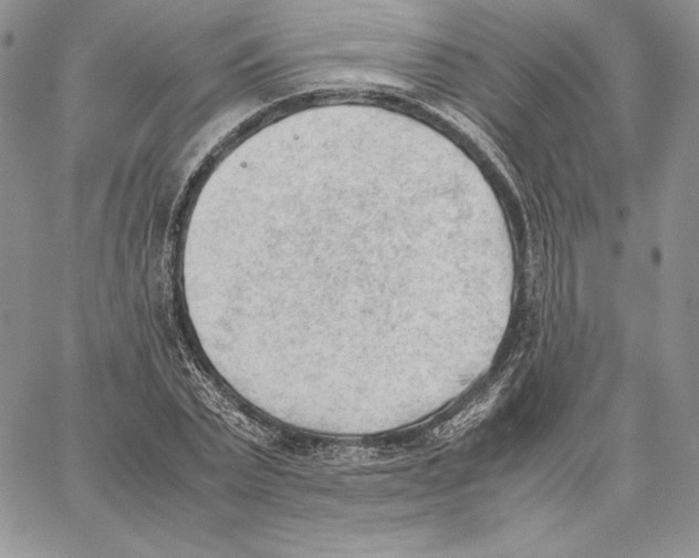 X0000062870783200602031716