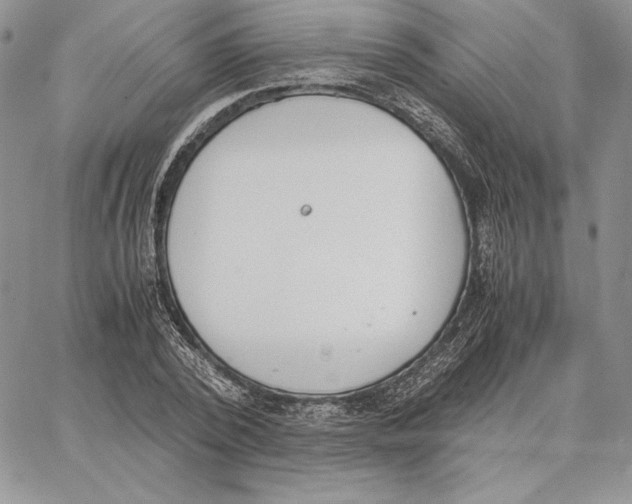 X0000062870784200602031716