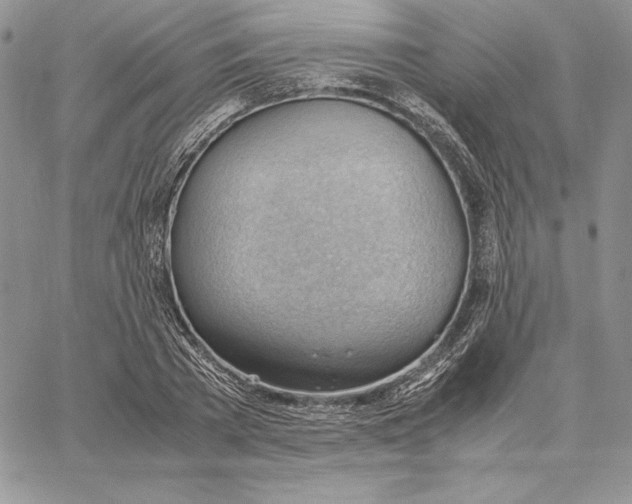 X0000062870785200602031715