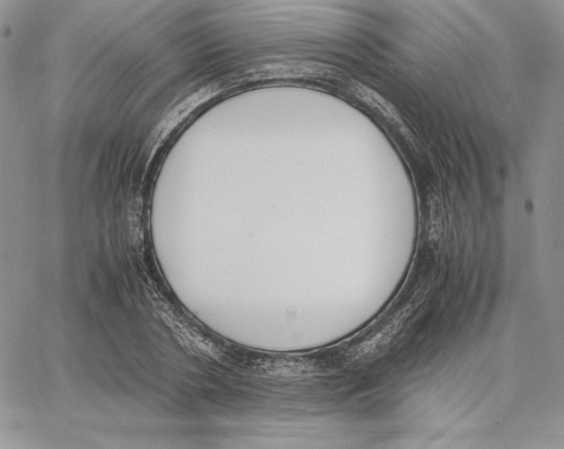 X0000062870786200602031715