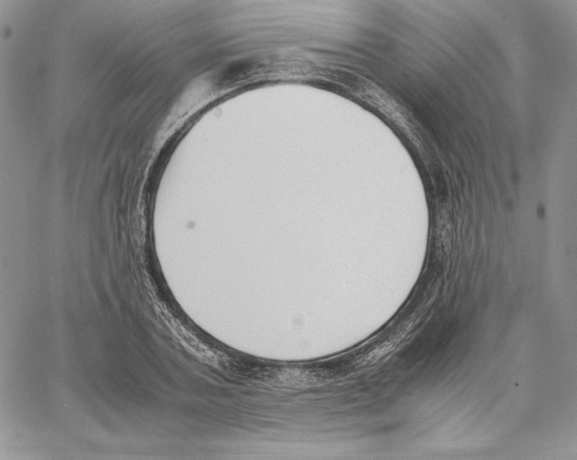 X0000062870787200602031715