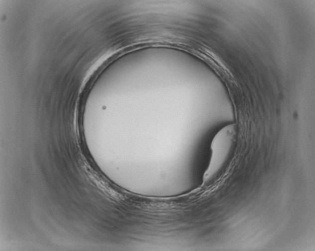 X0000062870788200602031715