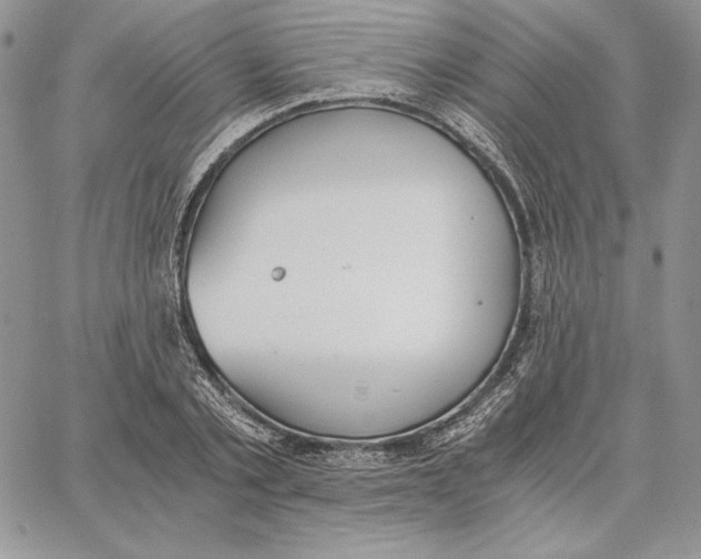 X0000062870789200602031715