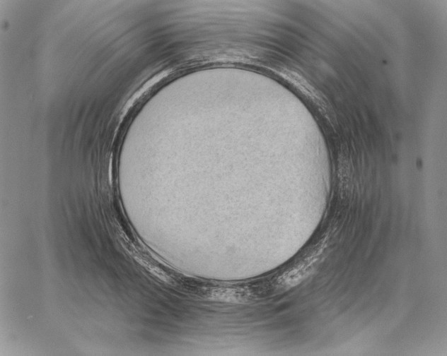 X0000062870790200602031715