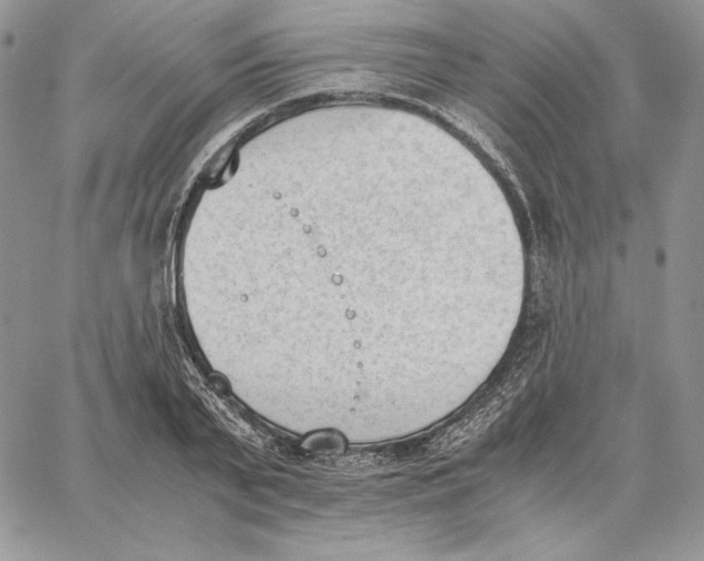 X0000062870791200602031715