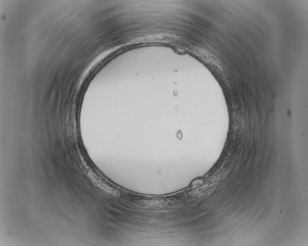 X0000062870792200602031715