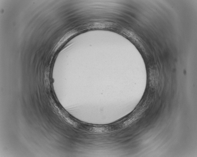 X0000062870794200602031715