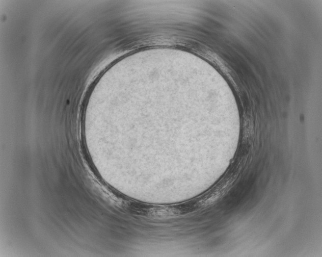 X0000062870795200602031715