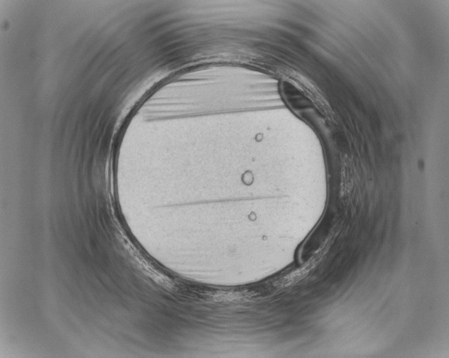 X0000062870796200602031715