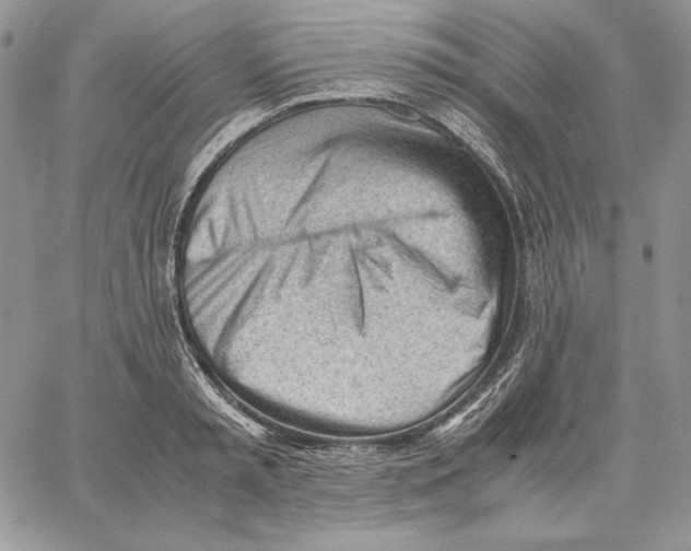 X0000062870797200602031715