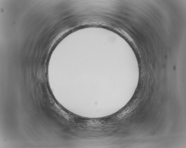 X0000062870799200602031715