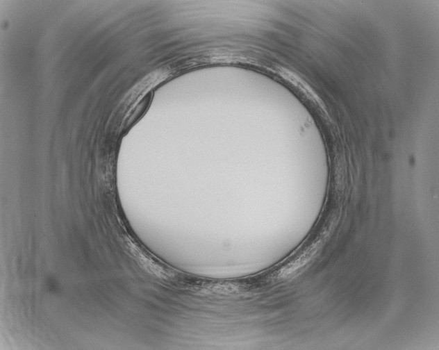 X0000062870801200602031715