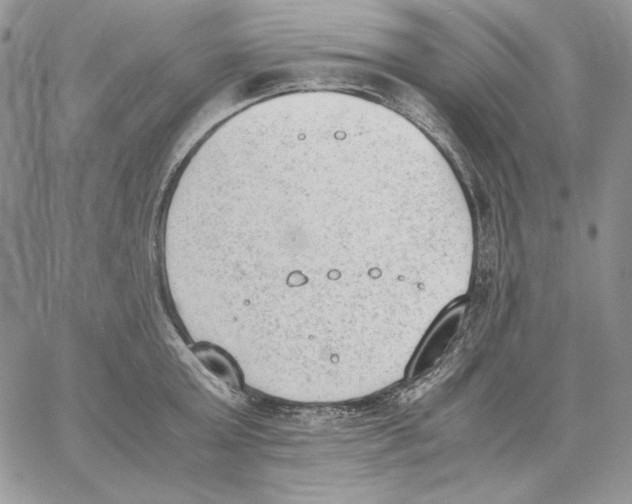 X0000062870803200602031715