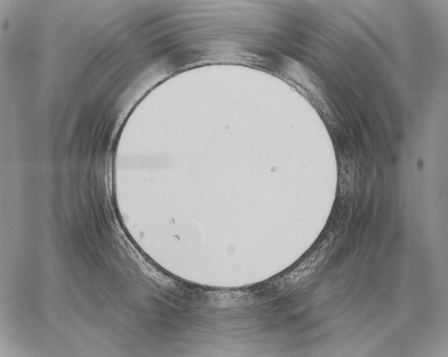 X0000062870804200602031715