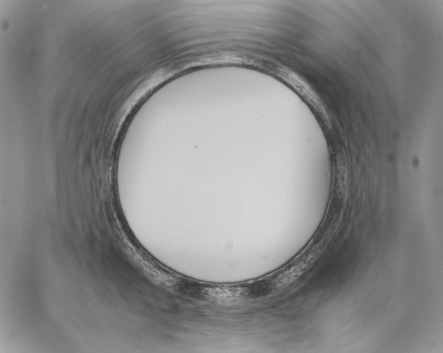 X0000062870805200602031715