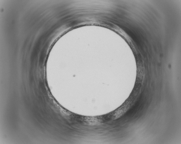 X0000062870807200602031715