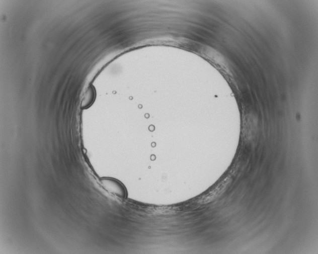 X0000062870808200602031715