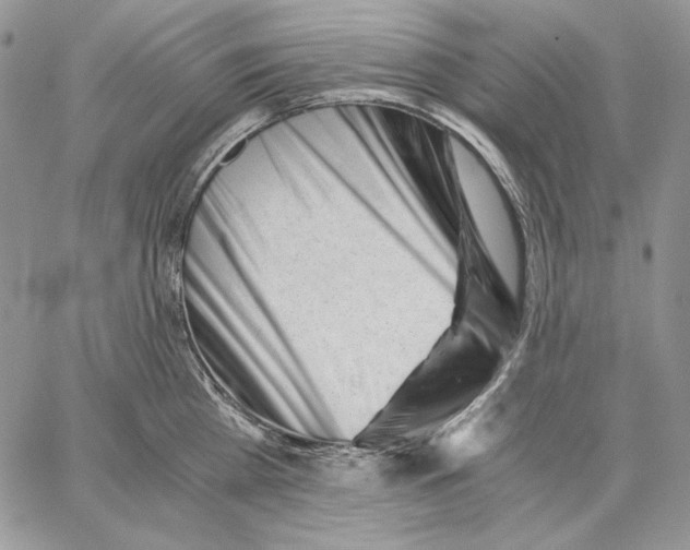 X0000062870809200602031715