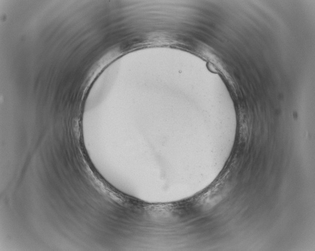 X0000062870810200602031715