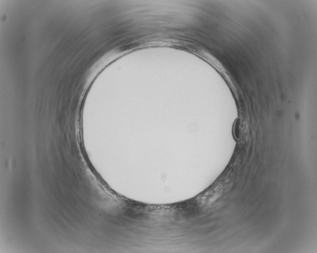 X0000062870811200602031715