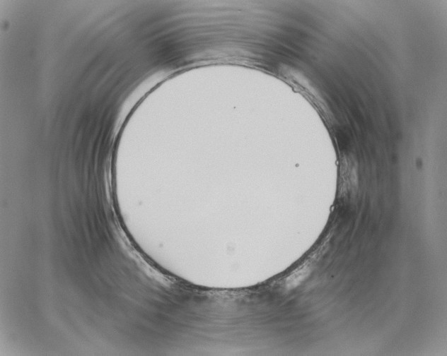 X0000062870812200602031715