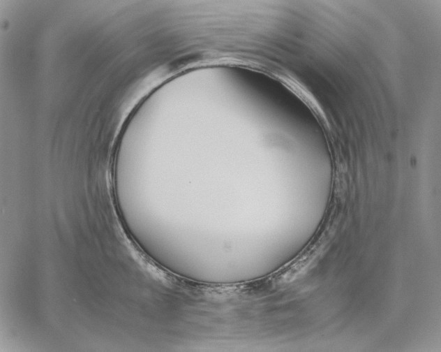 X0000062870813200602031715