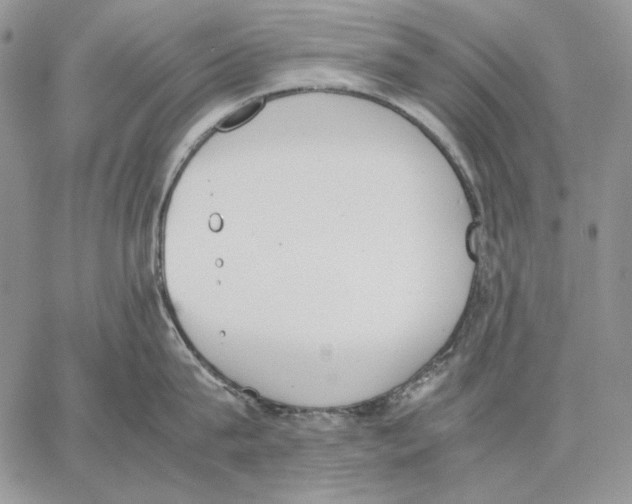 X0000062870815200602031715