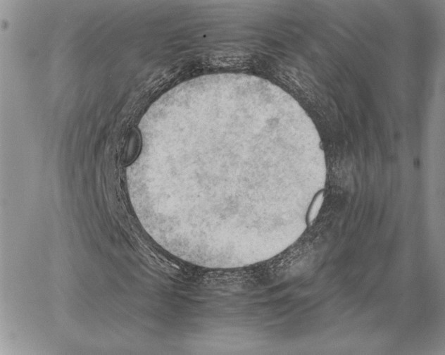 X0000062870817200602031714