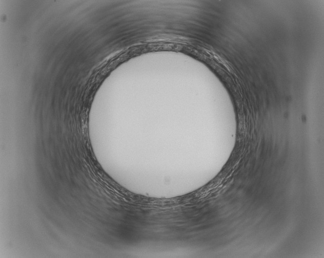 X0000062870821200602031714