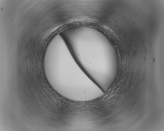 X0000062870822200602031714