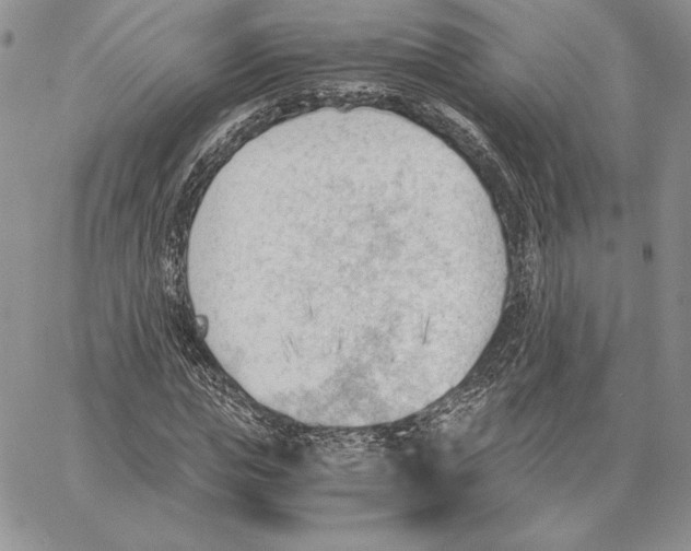 X0000062870823200602031714