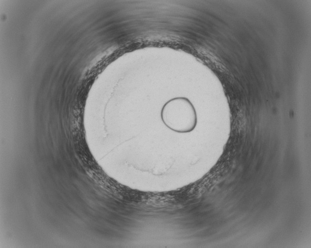 X0000062870824200602031714