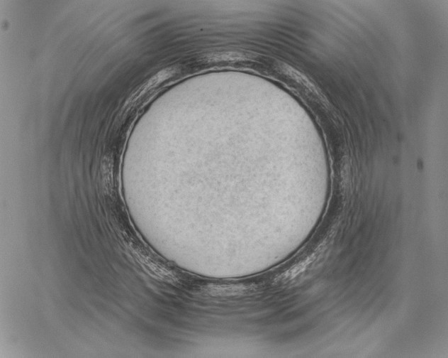 X0000062870825200602031714