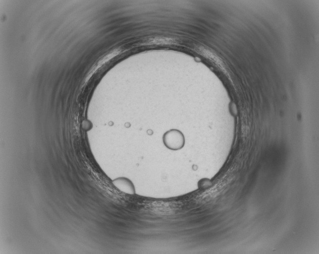 X0000062870827200602031714