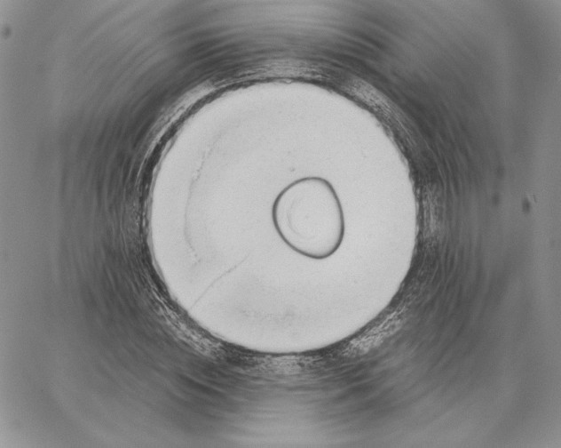 X0000062870828200602031714