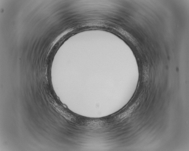 X0000062870830200602031714