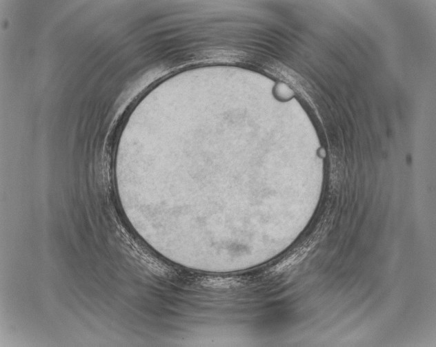 X0000062870835200602031714