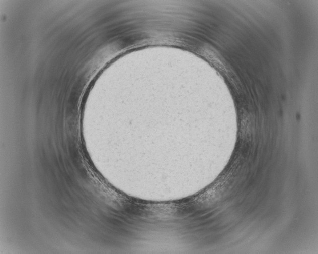 X0000062870836200602031715