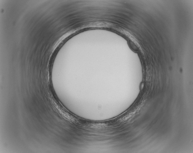 X0000062870837200602031715