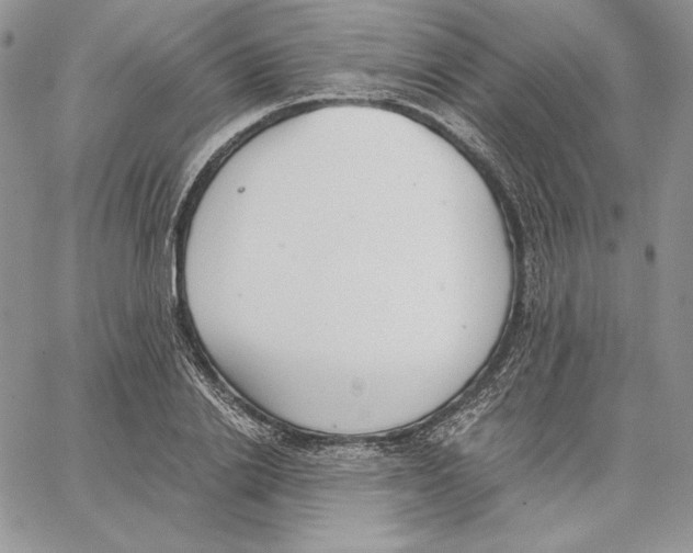 X0000062870838200602031715